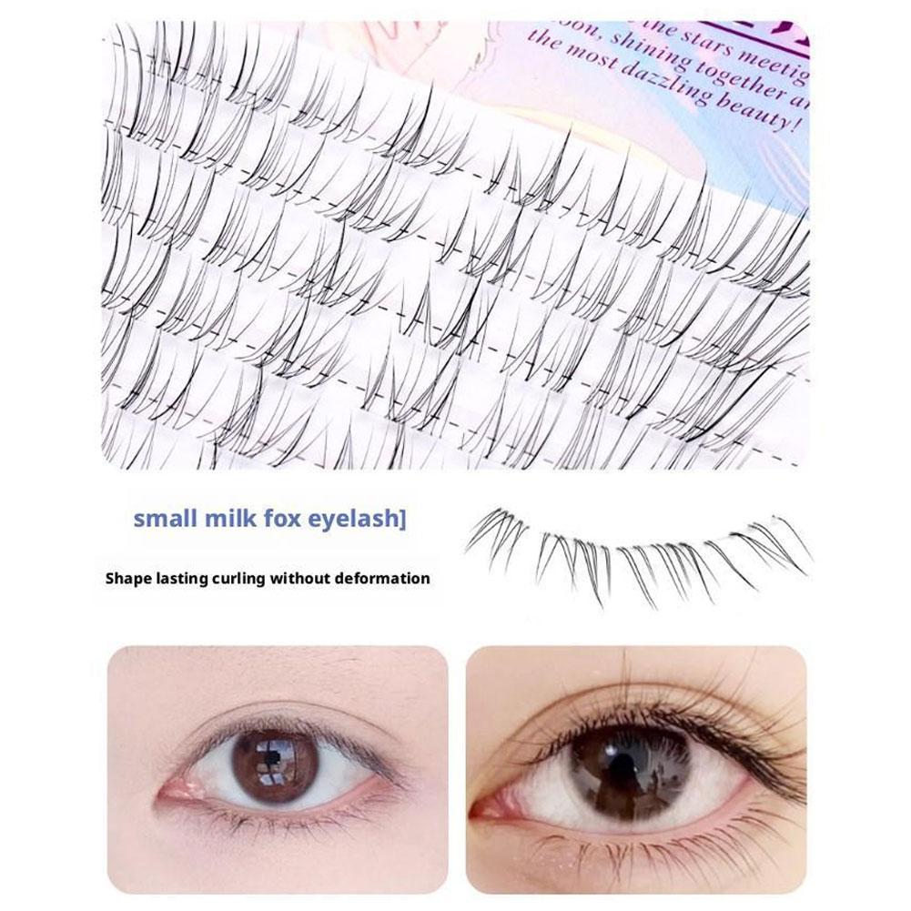 رموش عباد الشمس براون مانغا ال - مراجعة Eyelash Extension Douyin وسعره